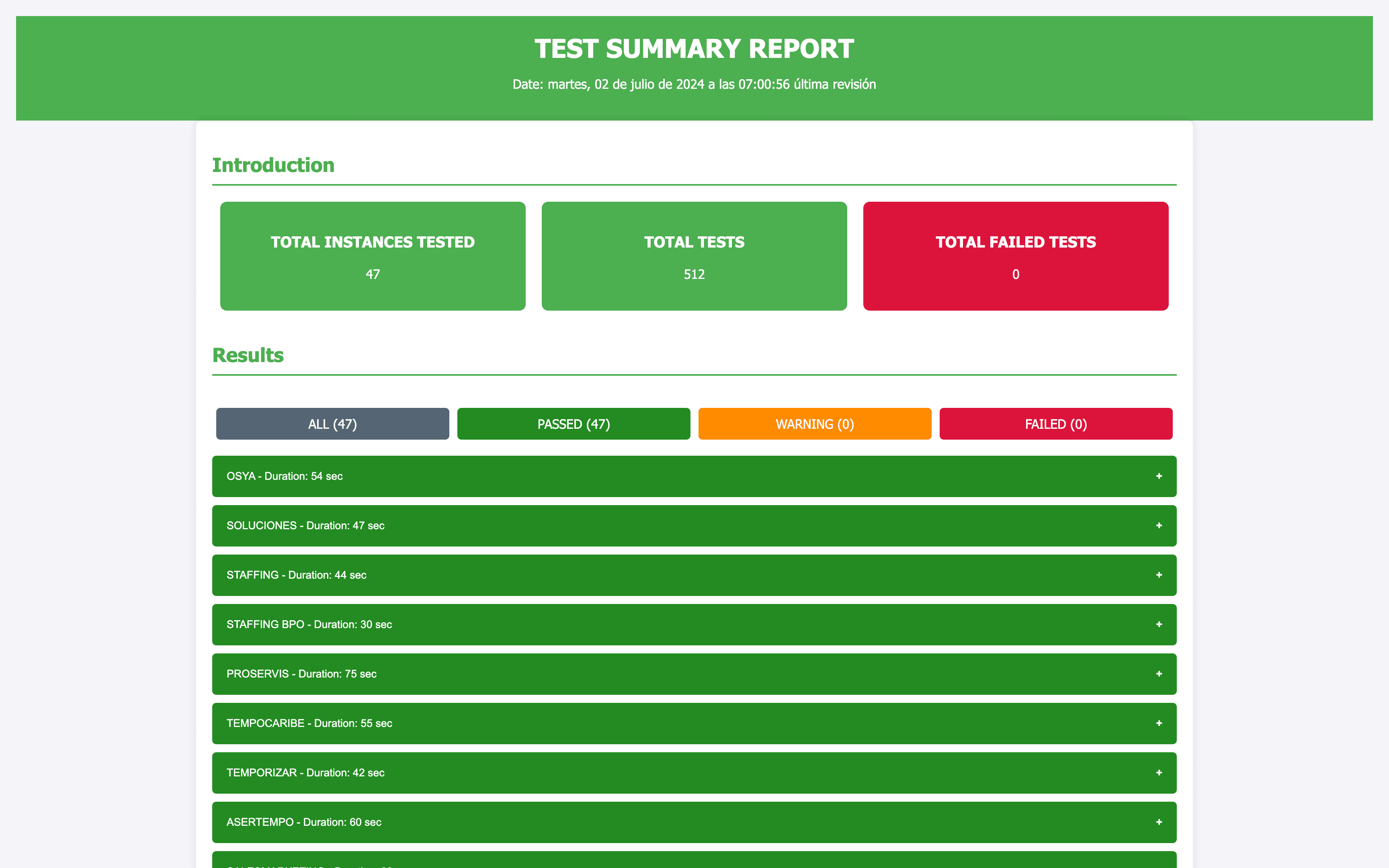 Summary report of tests showing tested instances, total tests, and successful results